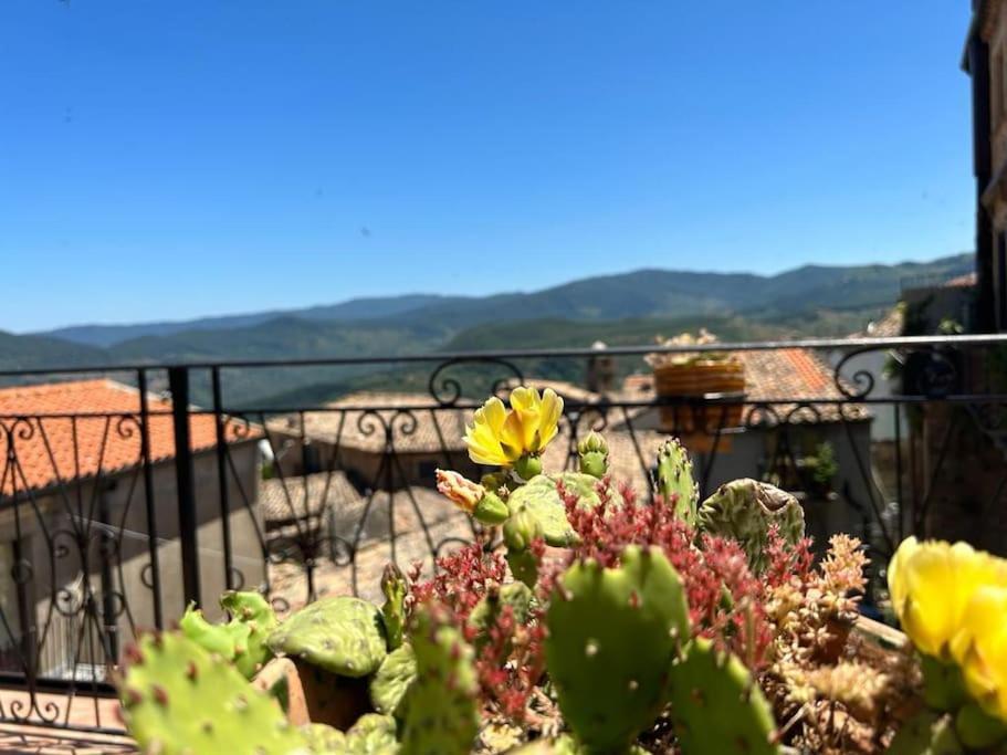 Апартаменты La Terrazza Sui Nebrodi Mistretta Экстерьер фото